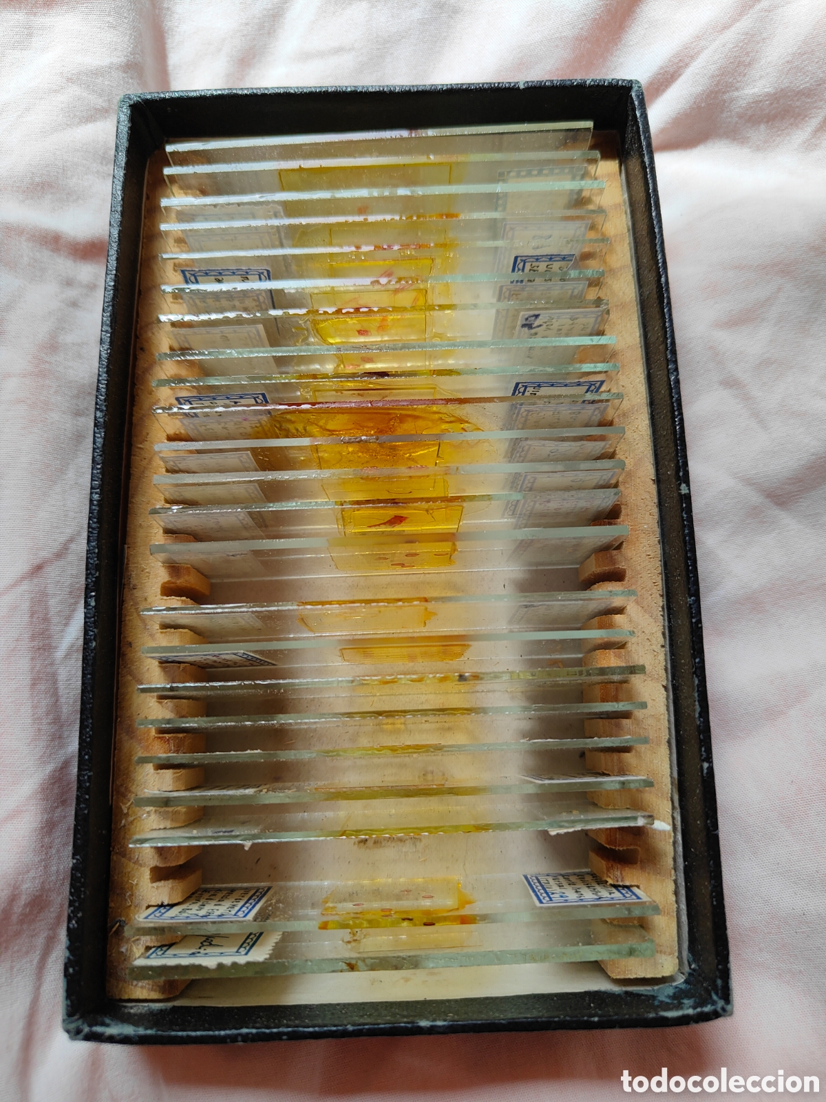 Antig&uuml;edades: Muestras microscopio a&ntilde;os 60 - Foto 2