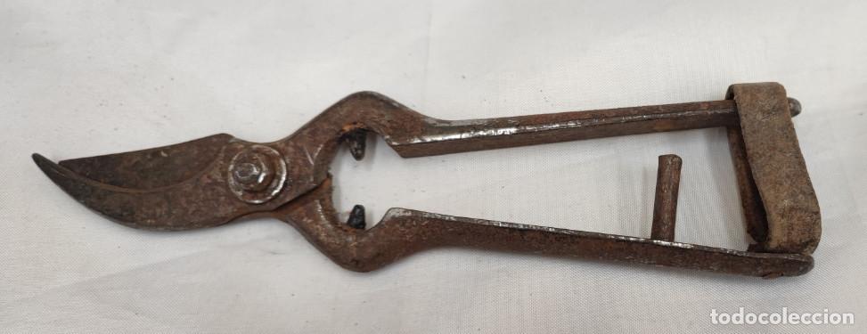 Antig&uuml;edades: ANTIGUAS TIJERAS DE PODAR, 18 CM