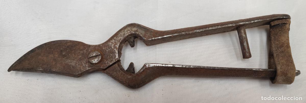 Antig&uuml;edades: ANTIGUAS TIJERAS DE PODAR, 18 CM - Foto 2