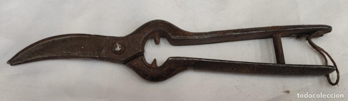 Antig&uuml;edades: ANTIGUAS TIJERAS DE PODAR, 20 CM