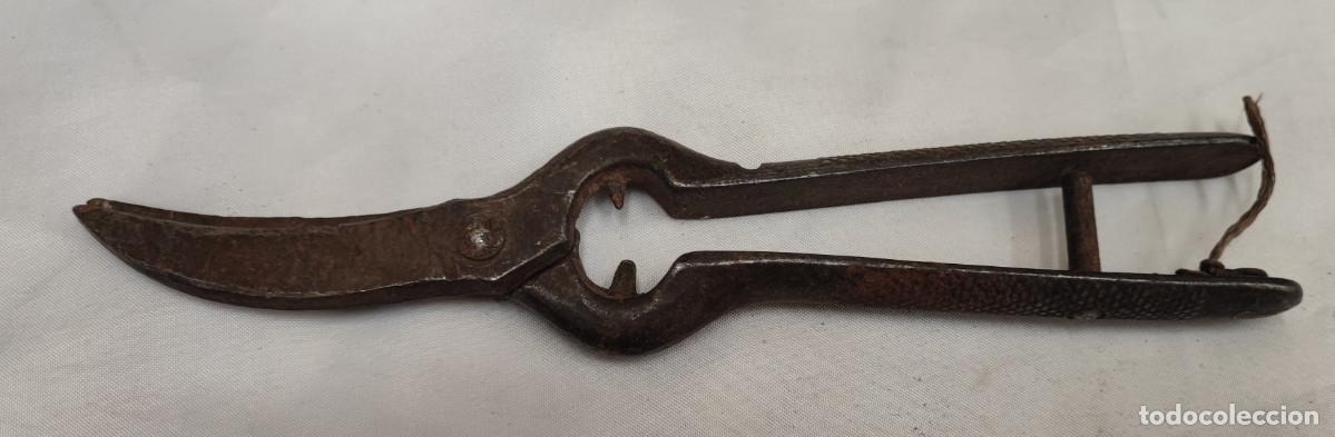 Antig&uuml;edades: ANTIGUAS TIJERAS DE PODAR, 20 CM - Foto 2