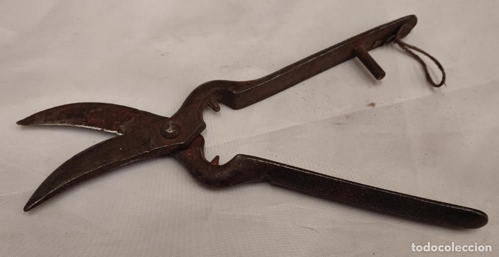 Antig&uuml;edades: ANTIGUAS TIJERAS DE PODAR, 20 CM - Foto 3