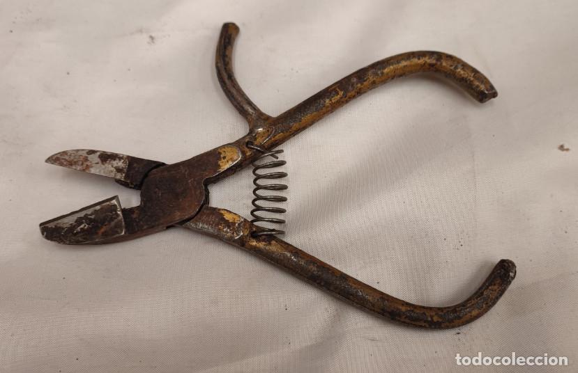 Antig&uuml;edades: ANTIGUAS TIJERAS O ALICATES DE COSECHAR CITRICOS ETC., AFILADOS, 15 CM