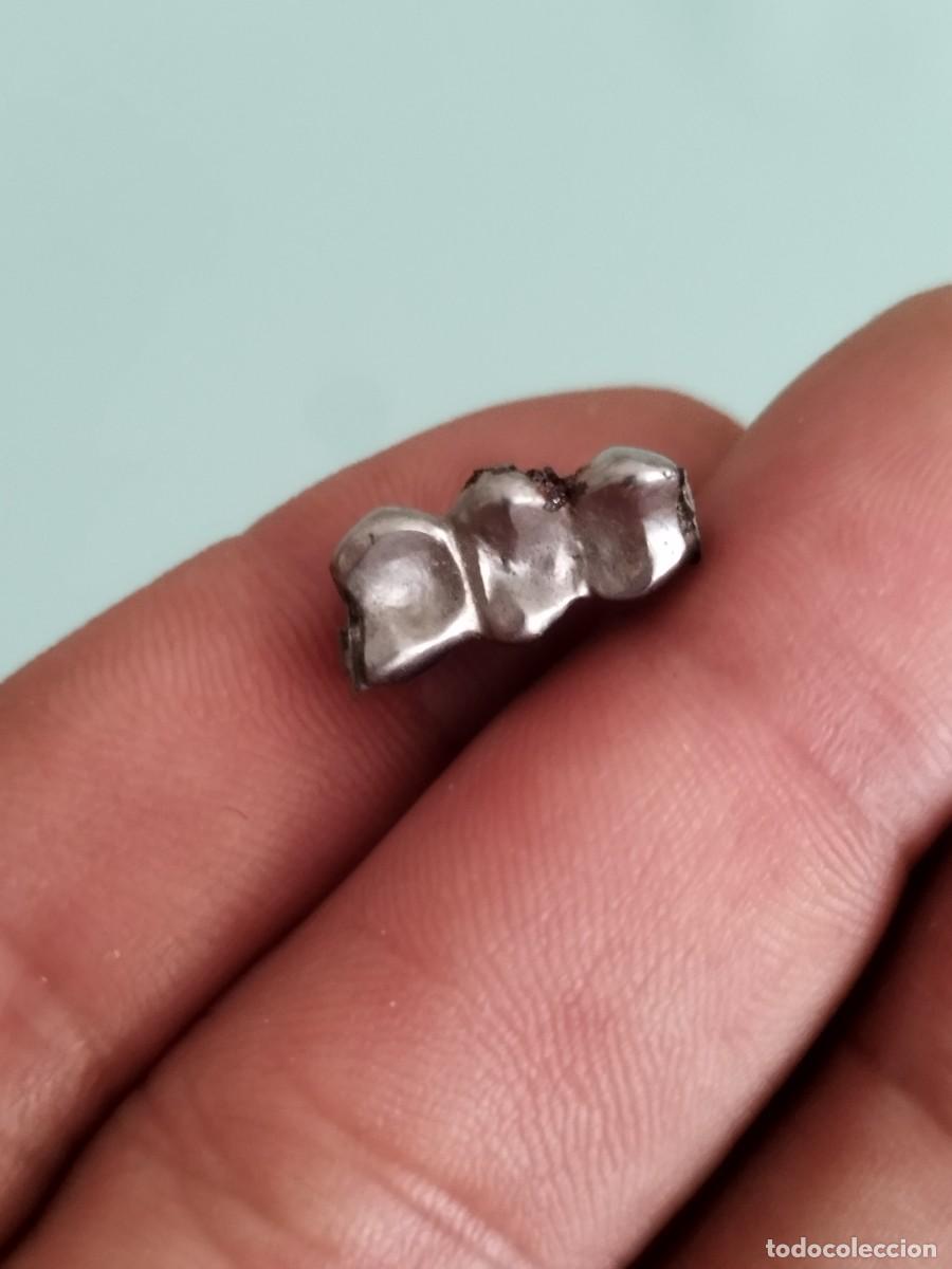 Antig&uuml;edades: Antigua f&eacute;rula, pr&oacute;tesis dental de metal.