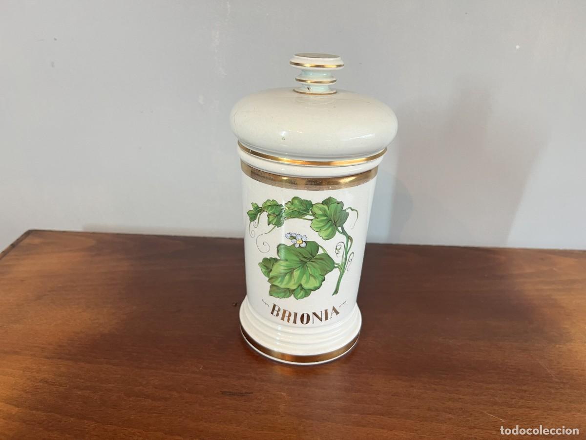 Antig&uuml;edades: Tarro de farmacia antiguo de porcelana. Albarelo &rdquo;BRIONIA&rdquo; con tapa. Botica antigua