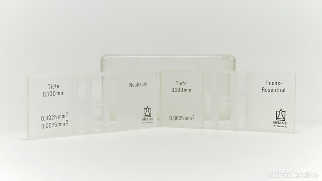 Oggetti Antichi: Set 2 Hemocit&oacute;metros Vintage BRAND W-Germany - C&aacute;maras Neubauer y Fuchs-Rosenthal - Laboratorio