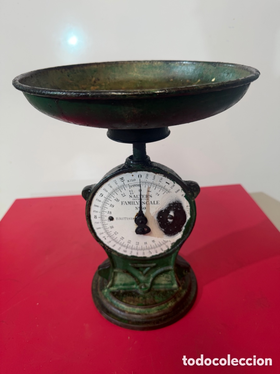 Antig&uuml;edades: B&aacute;scula Antigua Salter Family Scale N&ordm;50
