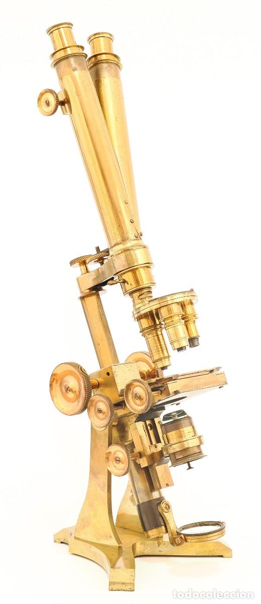 Antig&uuml;edades: Microscopio binocular antiguo ingl&eacute;s Wheeler (c.1865)