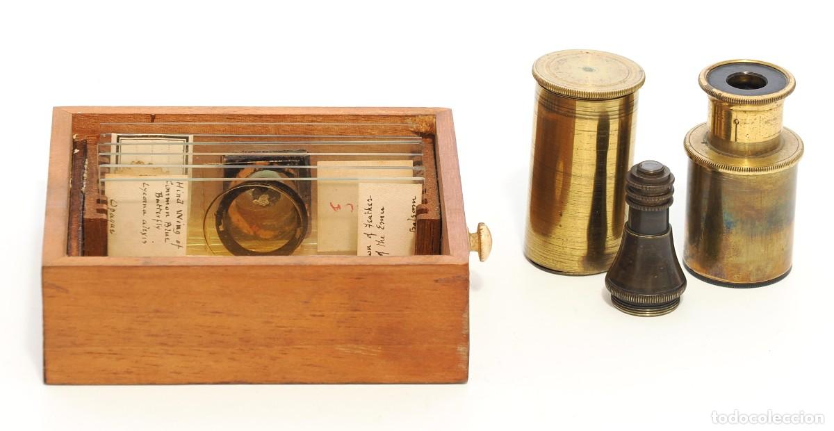 Antig&uuml;edades: Microscopio antiguo ingl&eacute;s (c.1860) - Foto 12