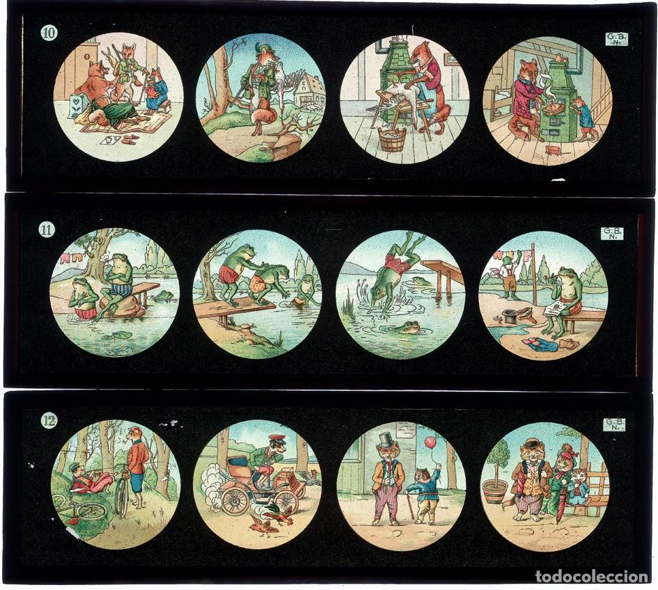 Antiques: 12 CRISTALES DE LINTERNA MAGICA TAMA&Ntilde;O 20 X 6 cm.