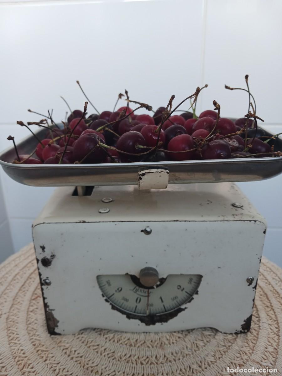 Antig&uuml;edades: Antigua B&aacute;scula Suiza Lyssex 10kg &ndash; Hierro Fundido Blanco Crema / Vintage