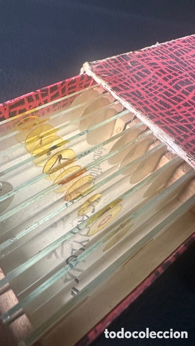 Antiques: Placas con insectos para el estudio en microscopio