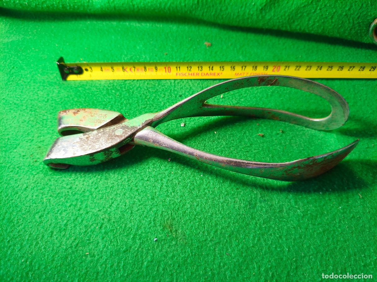 Antig&uuml;edades: CIRUGIA. INSTRUMENTAL QUIRURGICO DE MEDICO CIRUJANO.