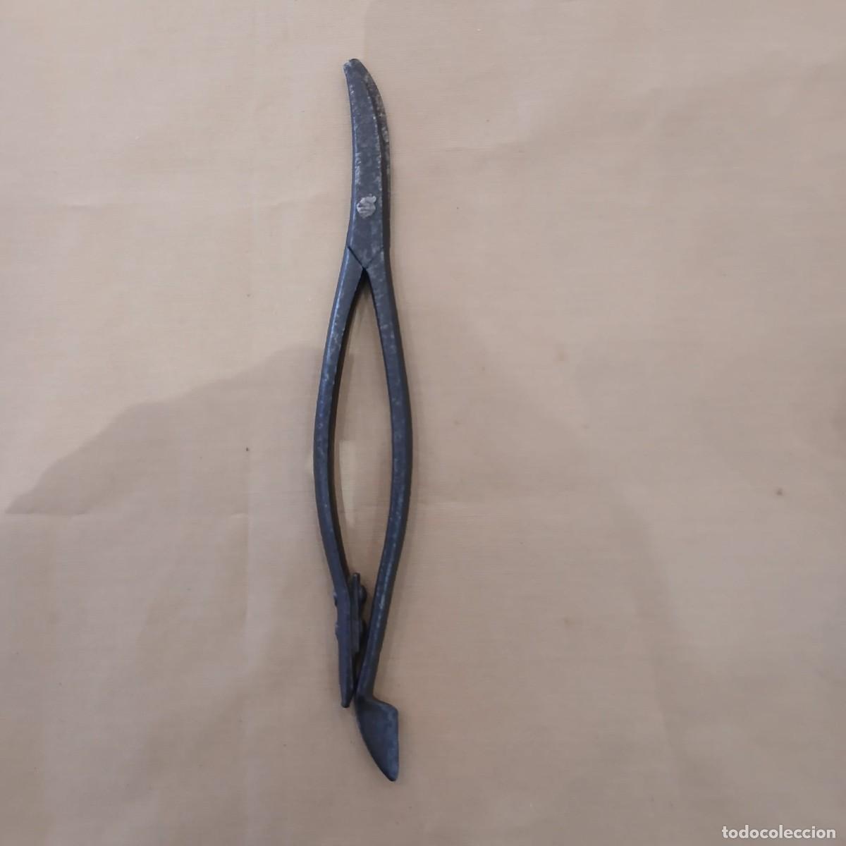 Antig&uuml;edades: Antiguas y curiosas tijeras