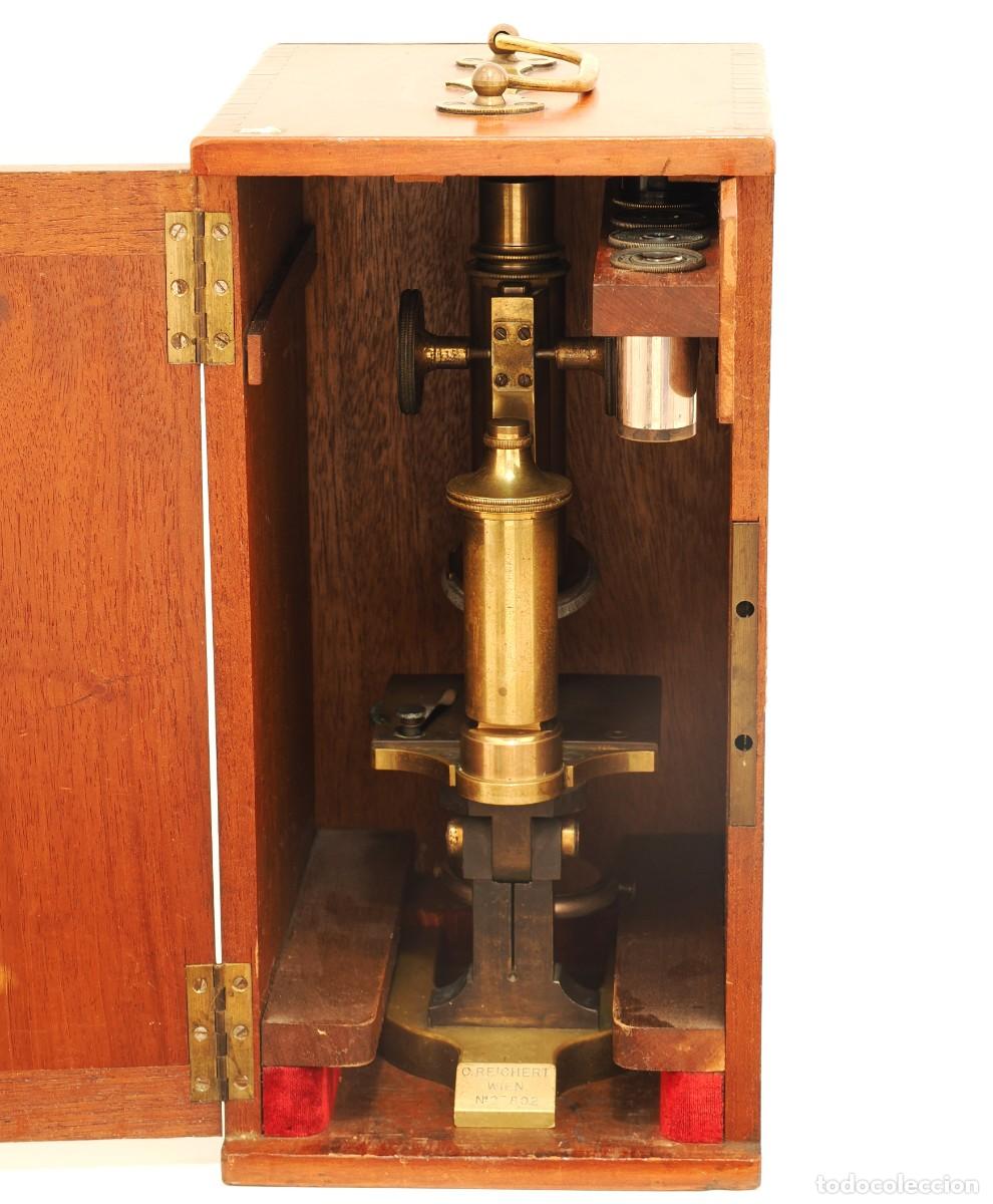 Antiques: Microscopio Antiguo Reichert (c.1890) en caja de caoba