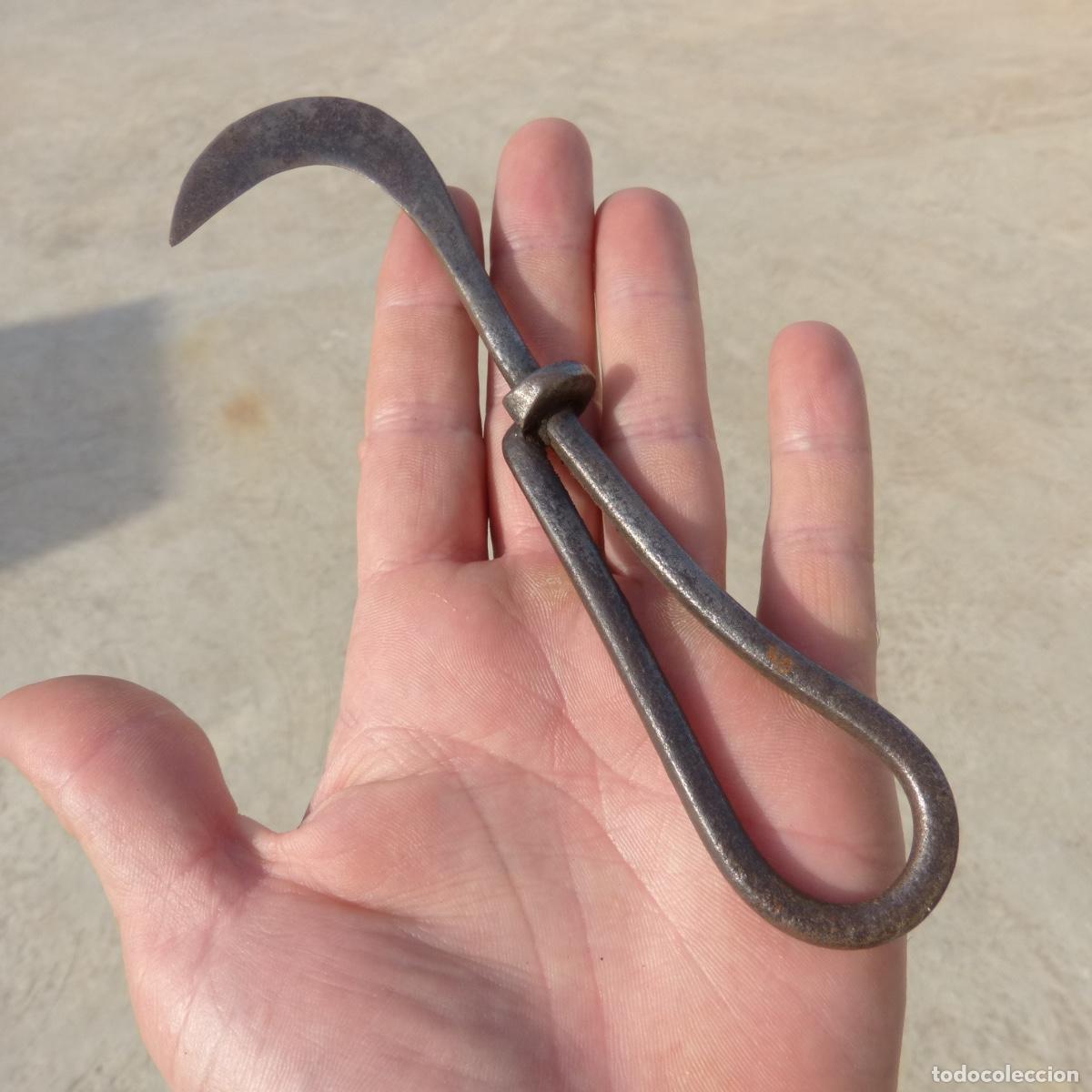 Antig&uuml;edades: Antigua hoceta o fal&ccedil;o para la vendimia en forja, 61gr, 17,5cm.
