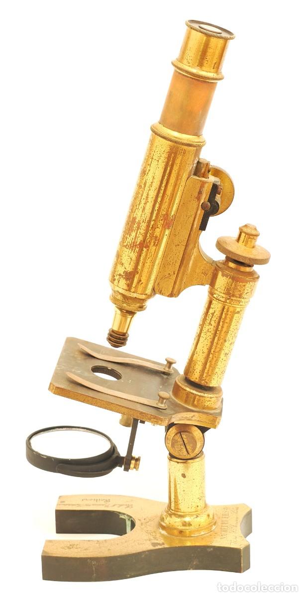 Antig&uuml;edades: Microscopio antiguo franc&eacute;s Nachet (c.1875)
