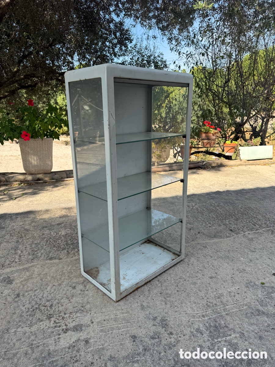 Antig&uuml;edades: Antigua y preciosa vitrina Medica metalica con estantes