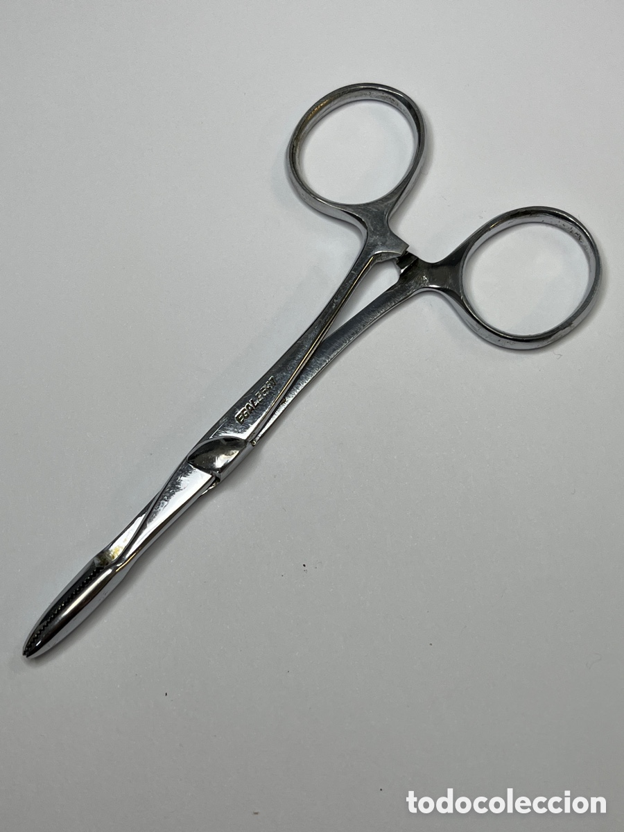 Antig&uuml;edades: Pinza Hemost&aacute;tica Vintage de Cirug&iacute;a &rdquo;EGALBERT&rdquo; 1955-1965 (Acero Inoxidable)
