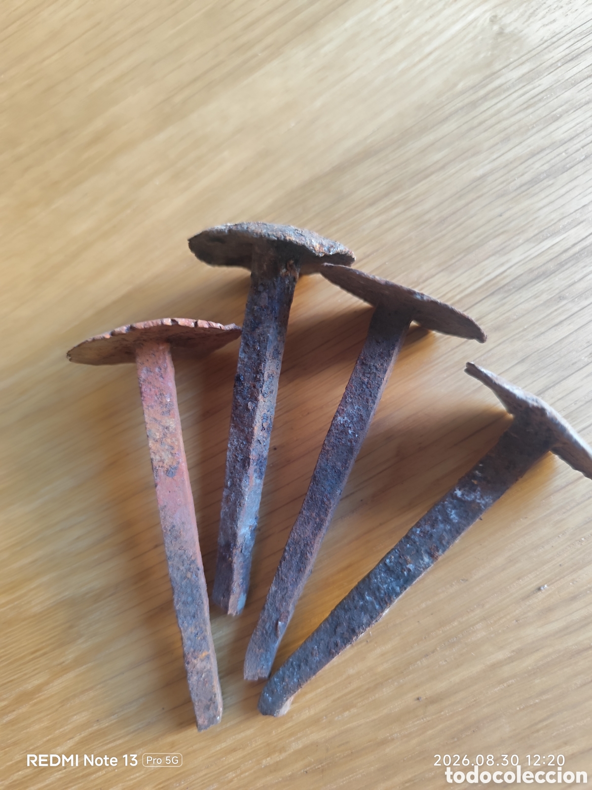 Antig&uuml;edades: Clavos de forja muy antiguos