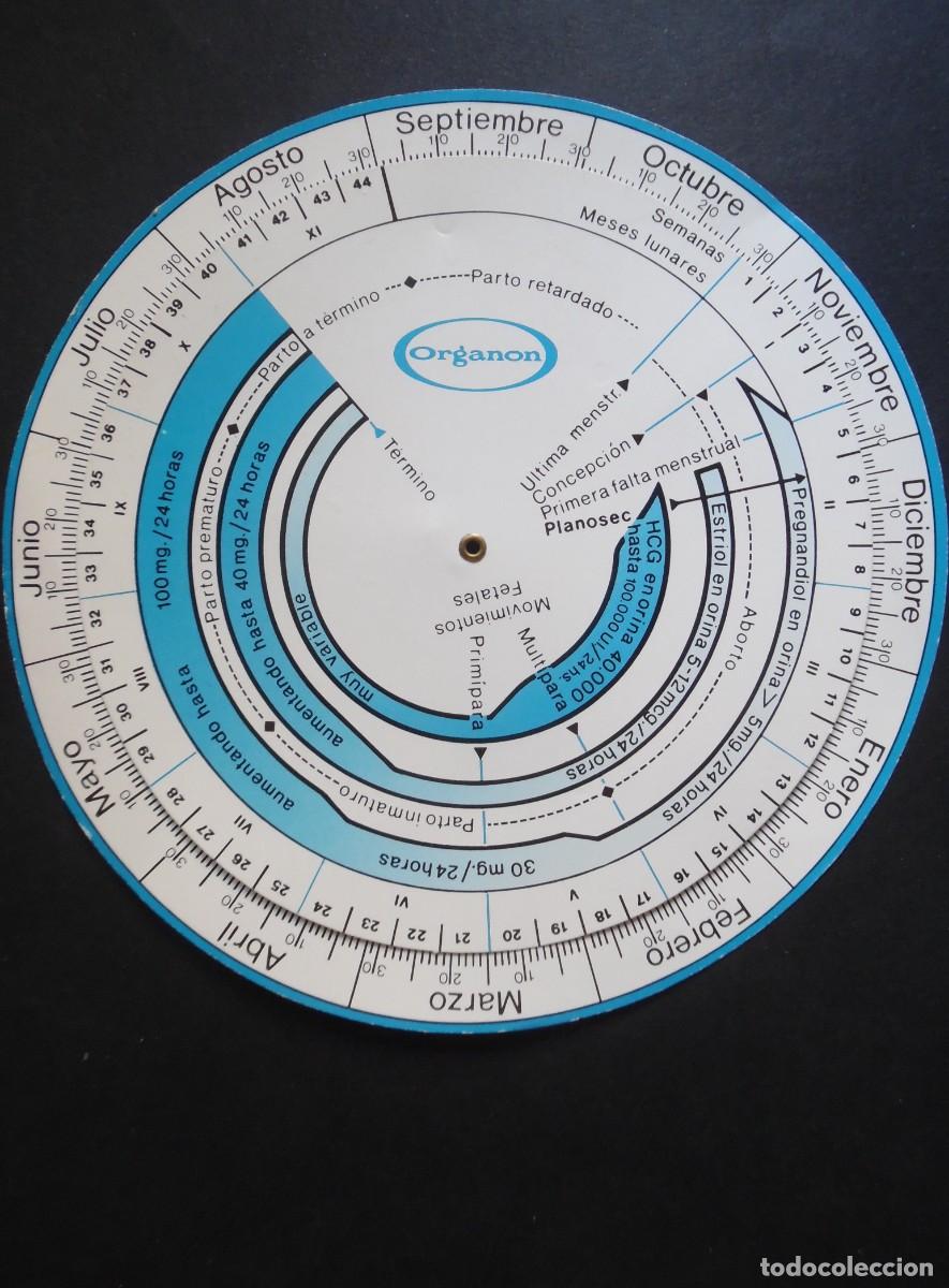 Antig&uuml;edades: Gestograma de cart&oacute;n, a&ntilde;os 80. Disco gestacional o calculadora de embarazo.17,5 cm. di&aacute;metro Organon