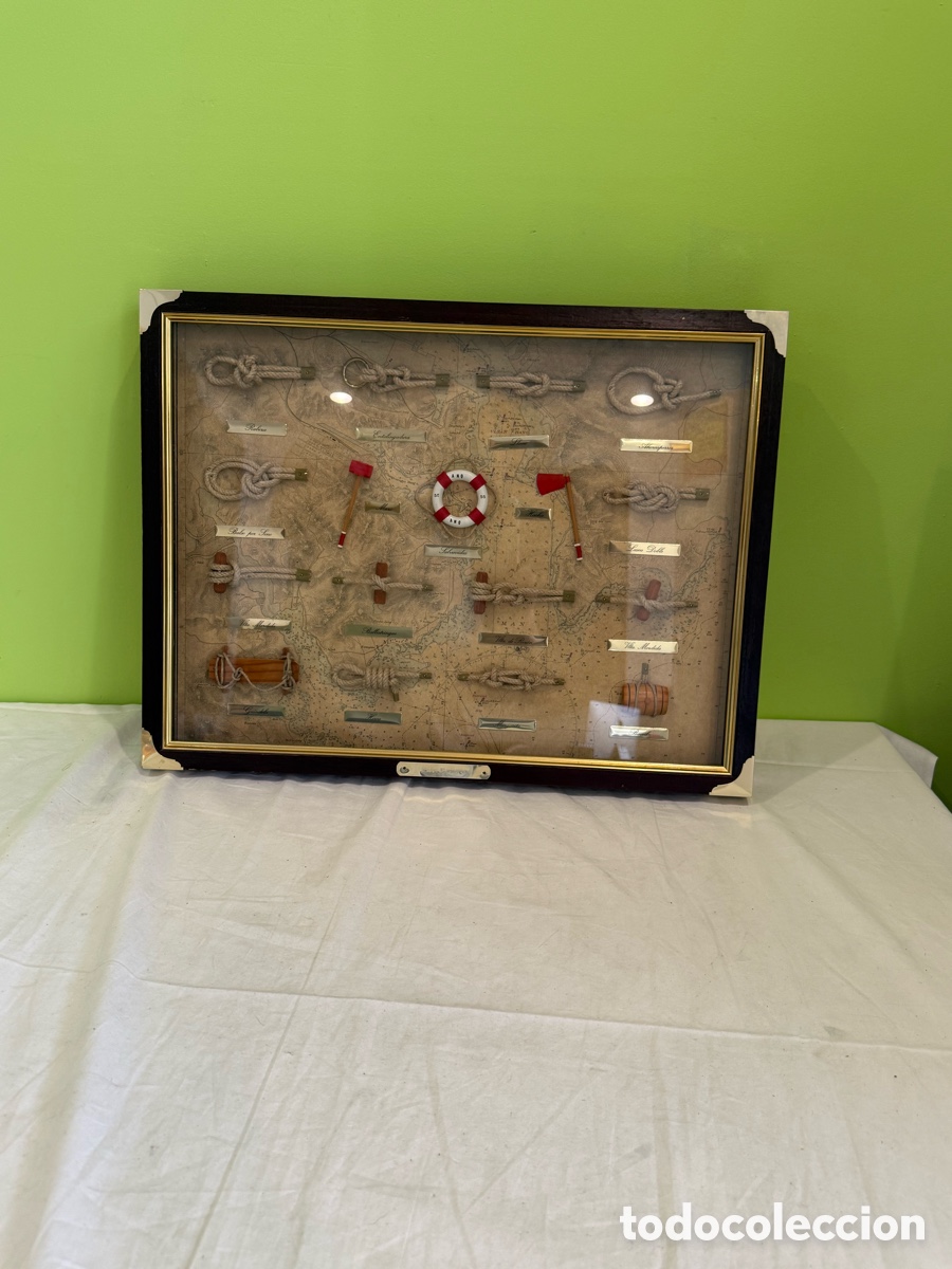 Antig&uuml;edades: Cuadro Vitrina de Nudos Marineros y Elementos N&aacute;uticos &ndash; Carta Marina &ndash; 50 &times; 38 cm