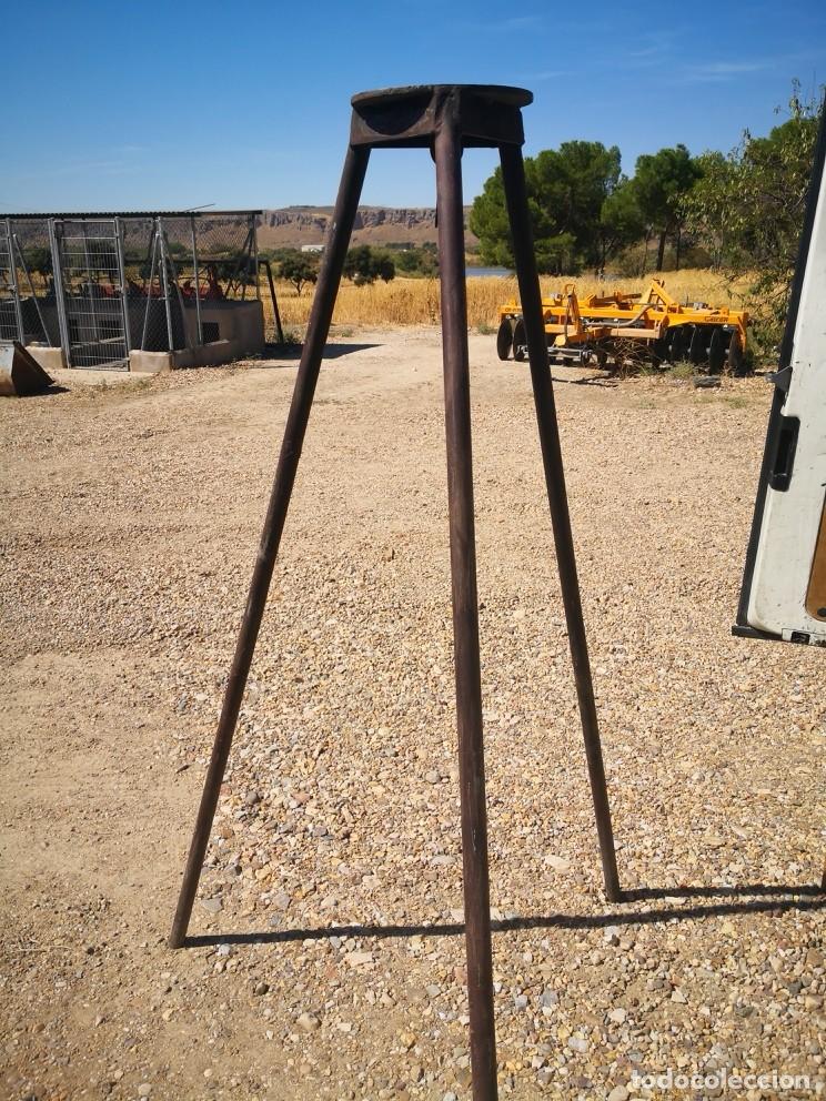 Antig&uuml;edades: Tr&iacute;pode de hierro resistente para cocinar, hecho a mano con ganchos muy grande y pesado 172X120