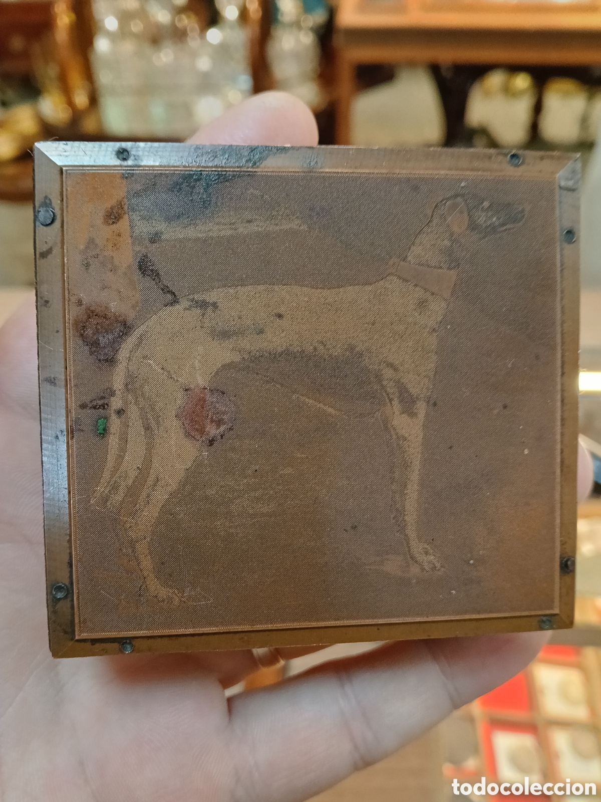 Antig&uuml;edades: ANTIGUO CLICHE DE IMPRENTA . IMAGEN DE PERRO RAZA GALGO