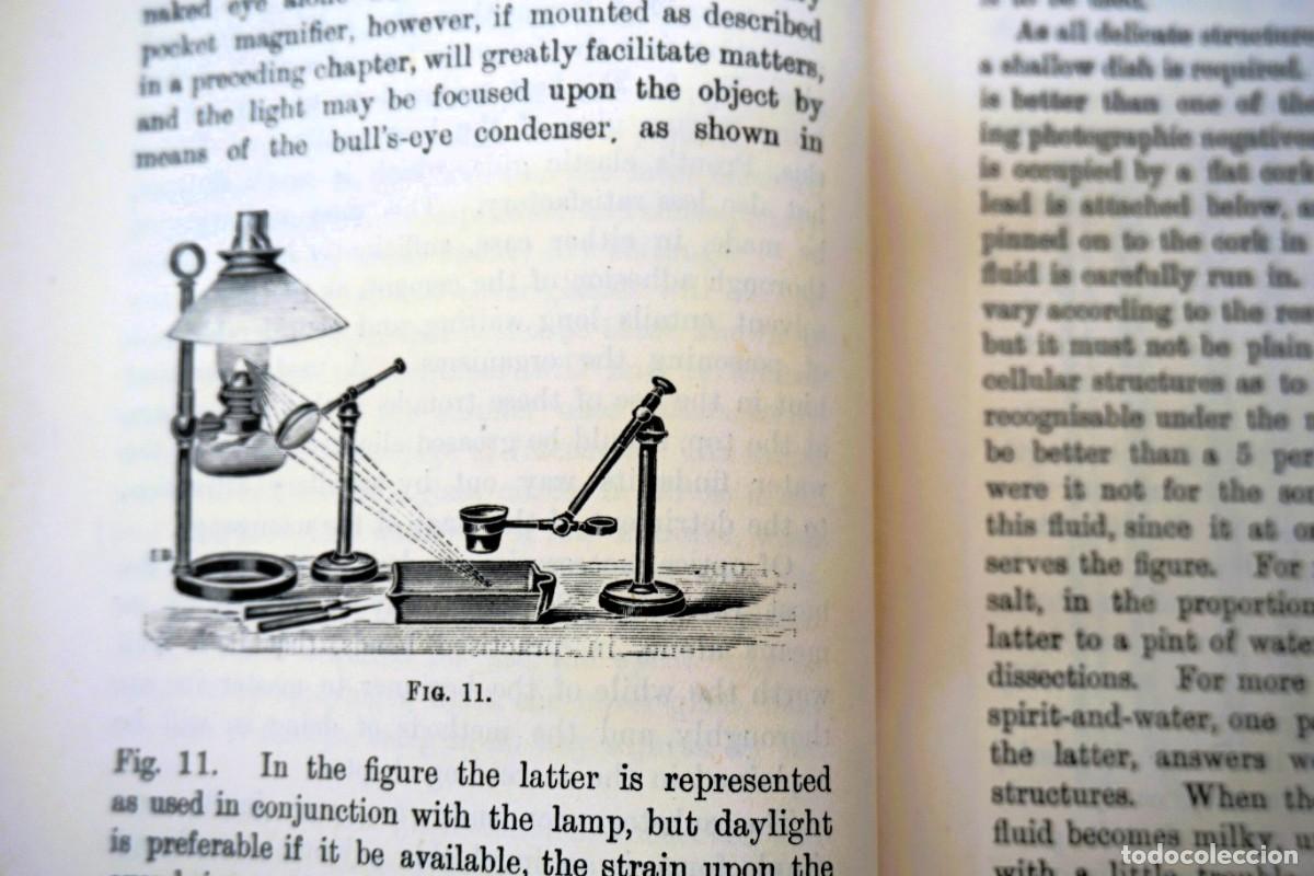 Antig&uuml;edades: MICROSCOPIO. LIBRO ANTIGUO &ldquo;Common Objects of the Microscope&rdquo; 1.902 - Foto 6