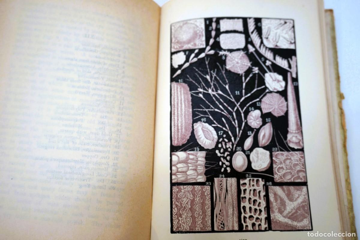 Antig&uuml;edades: MICROSCOPIO. LIBRO ANTIGUO &ldquo;Common Objects of the Microscope&rdquo; 1.902 - Foto 12
