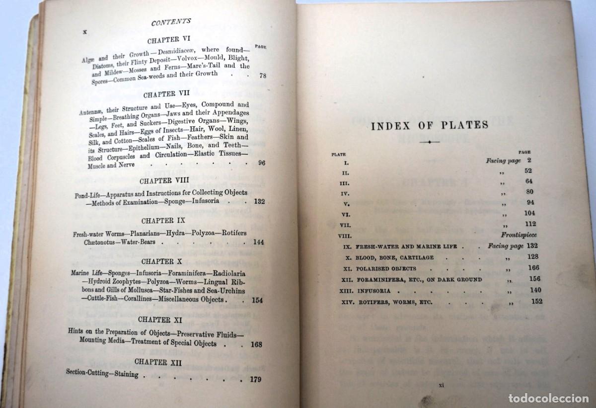 Antig&uuml;edades: MICROSCOPIO. LIBRO ANTIGUO &ldquo;Common Objects of the Microscope&rdquo; 1.902 - Foto 13
