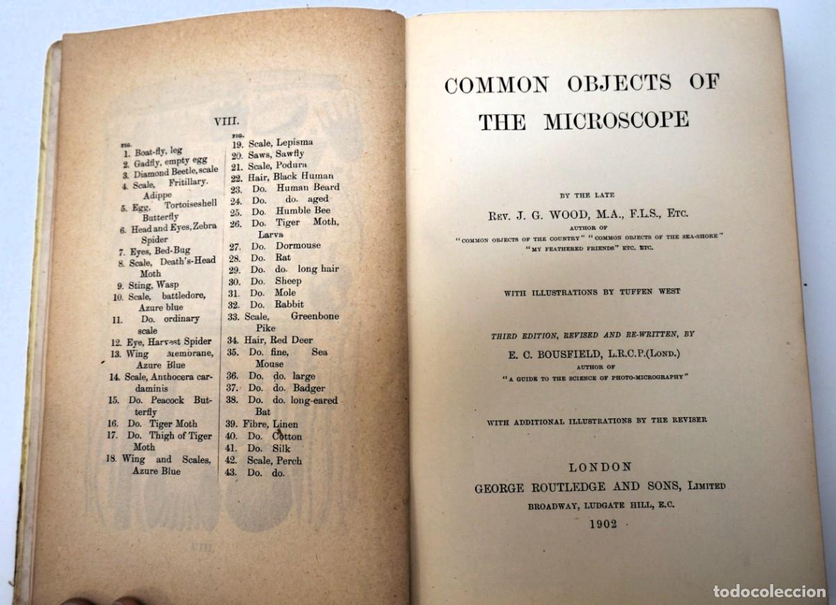 Antig&uuml;edades: MICROSCOPIO. LIBRO ANTIGUO &ldquo;Common Objects of the Microscope&rdquo; 1.902 - Foto 15