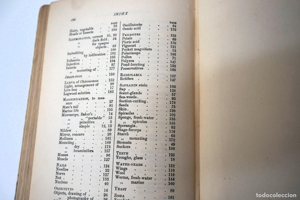 Antig&uuml;edades: MICROSCOPIO. LIBRO ANTIGUO &ldquo;Common Objects of the Microscope&rdquo; 1.902 - Foto 16