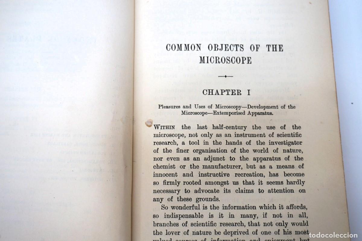 Antig&uuml;edades: MICROSCOPIO. LIBRO ANTIGUO &ldquo;Common Objects of the Microscope&rdquo; 1.902 - Foto 19