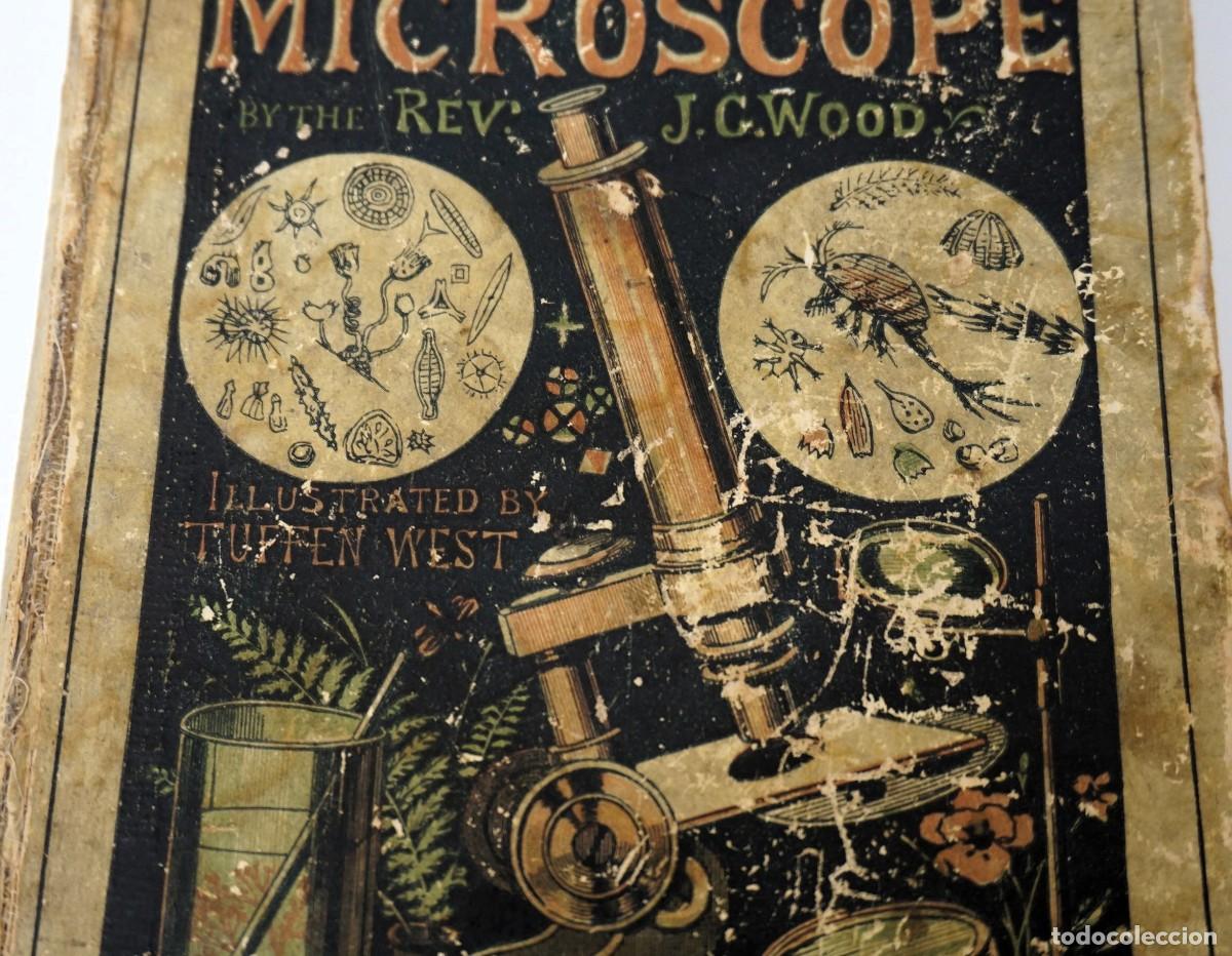 Antig&uuml;edades: MICROSCOPIO. LIBRO ANTIGUO &ldquo;Common Objects of the Microscope&rdquo; 1.902 - Foto 24