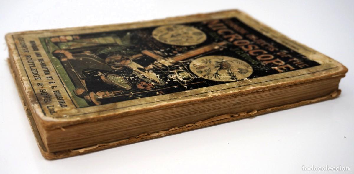Antig&uuml;edades: MICROSCOPIO. LIBRO ANTIGUO &ldquo;Common Objects of the Microscope&rdquo; 1.902 - Foto 25