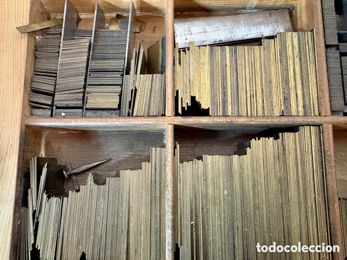 Antig&uuml;edades: Filete lat&oacute;n tipogr&aacute;fico - Foto 2