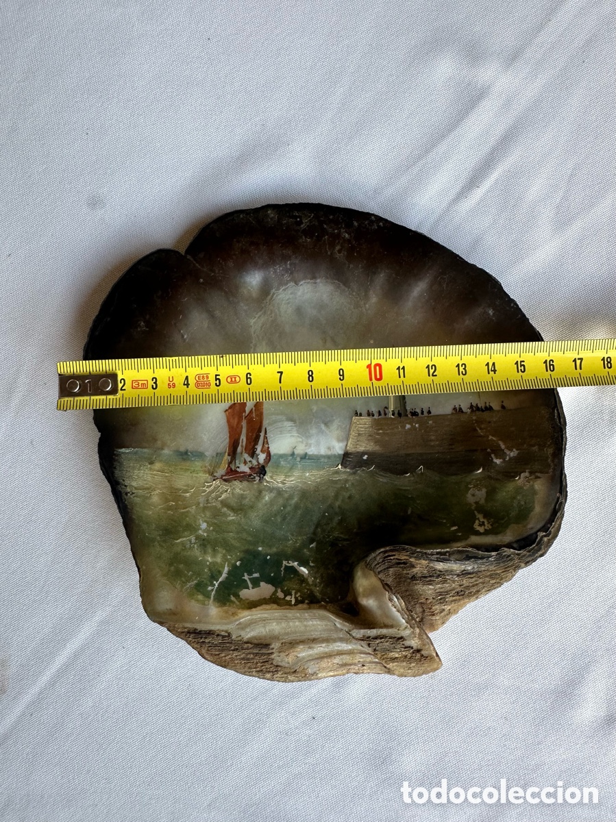 Antig&uuml;edades: Concha de n&aacute;car con &oacute;leo de marina. - Foto 7