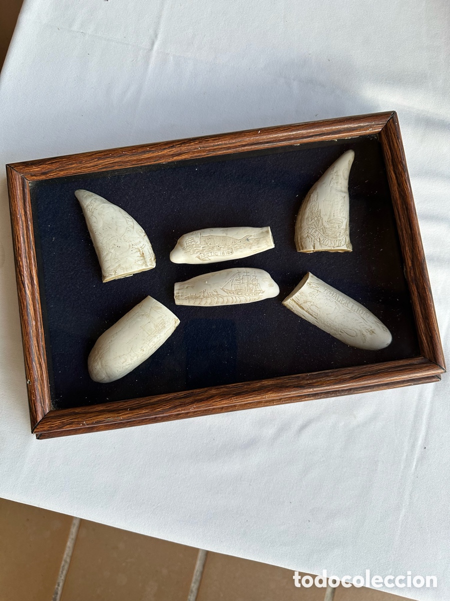 Antig&uuml;edades: Colecci&oacute;n diferentes r&eacute;plicas dientes cachalote. - Foto 2