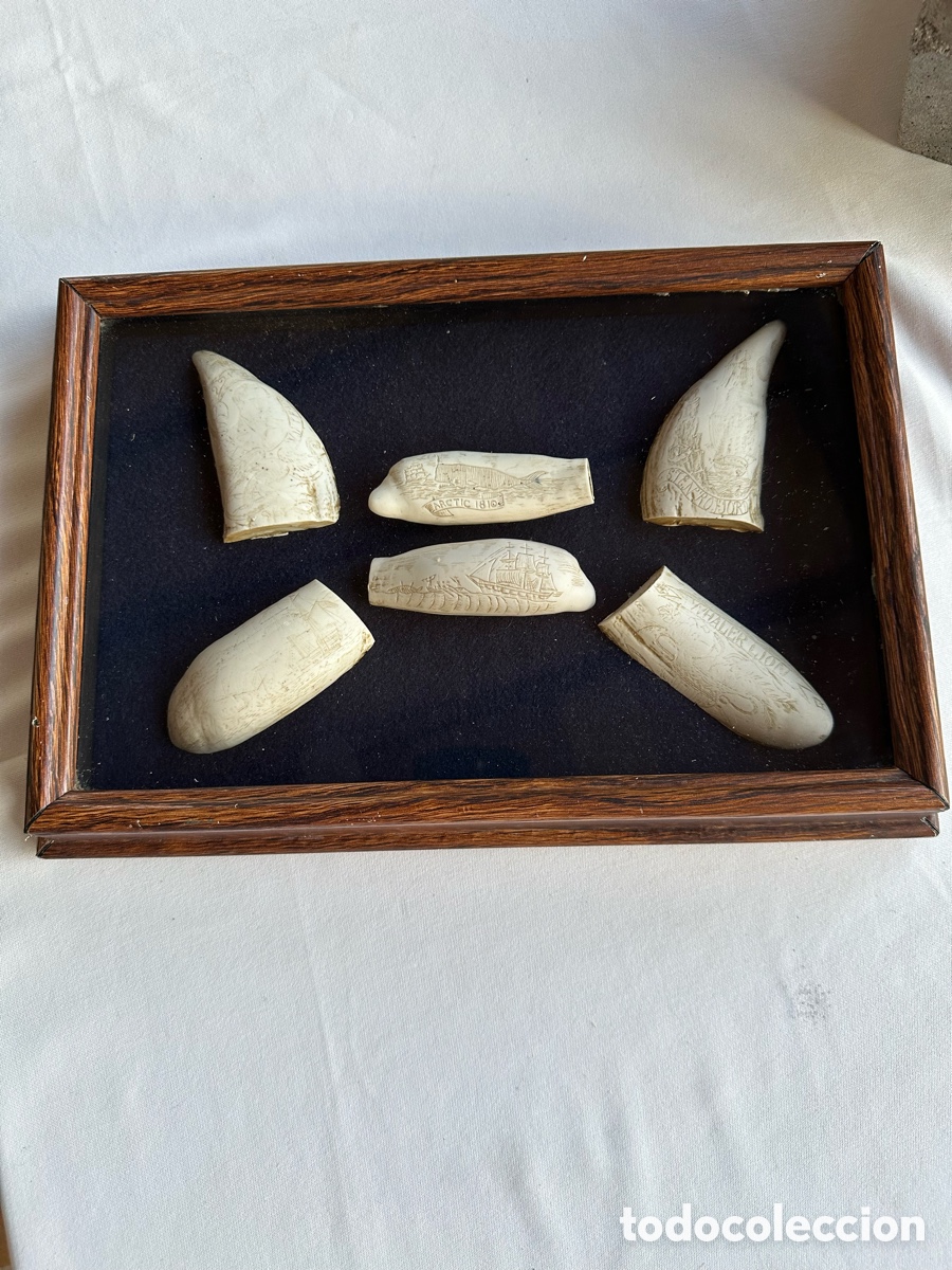 Antig&uuml;edades: Colecci&oacute;n diferentes r&eacute;plicas dientes cachalote. - Foto 4