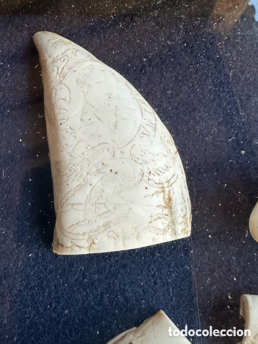 Antig&uuml;edades: Colecci&oacute;n diferentes r&eacute;plicas dientes cachalote. - Foto 5