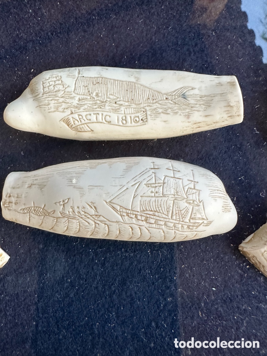 Antig&uuml;edades: Colecci&oacute;n diferentes r&eacute;plicas dientes cachalote. - Foto 6