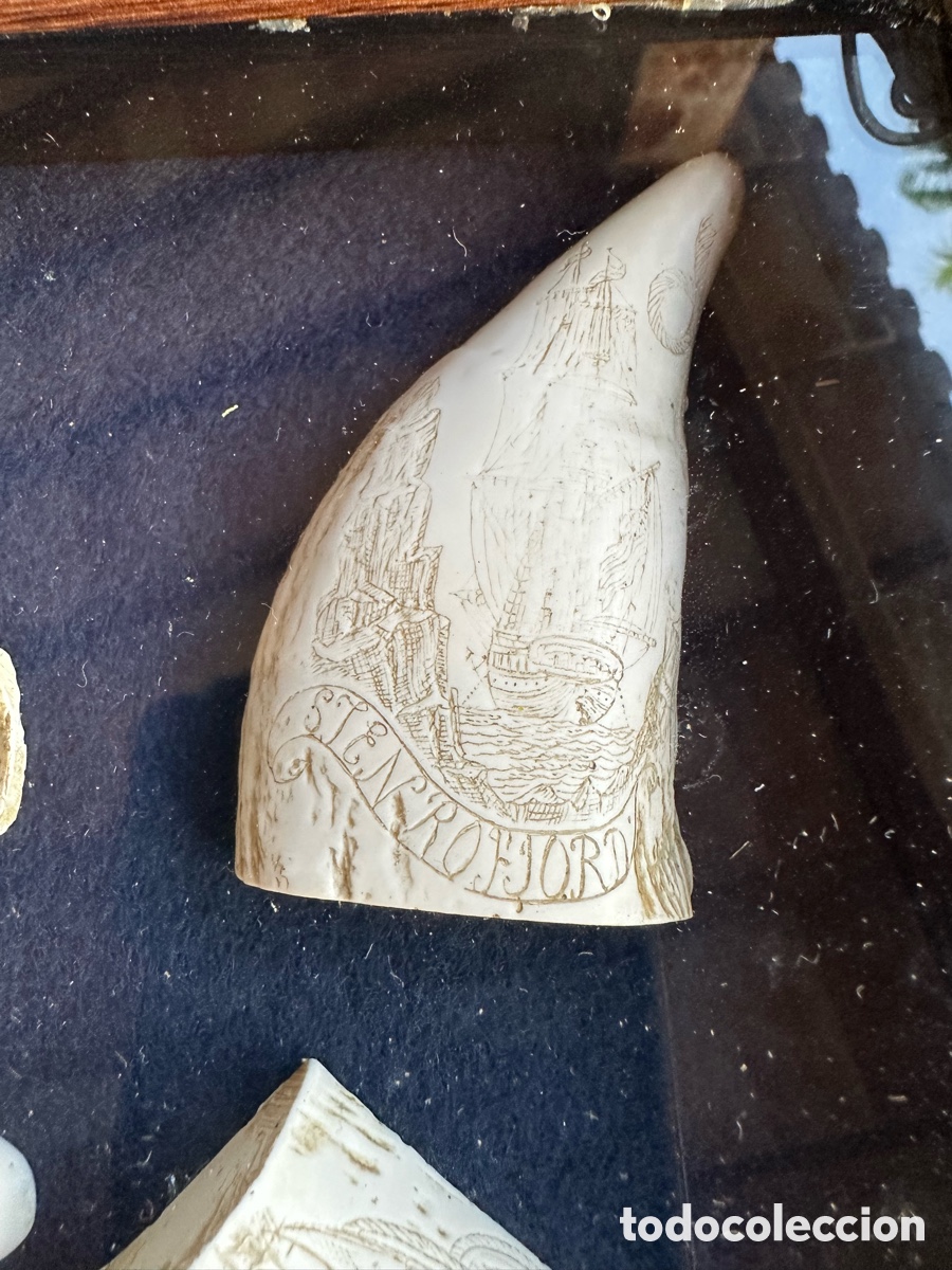 Antig&uuml;edades: Colecci&oacute;n diferentes r&eacute;plicas dientes cachalote. - Foto 7