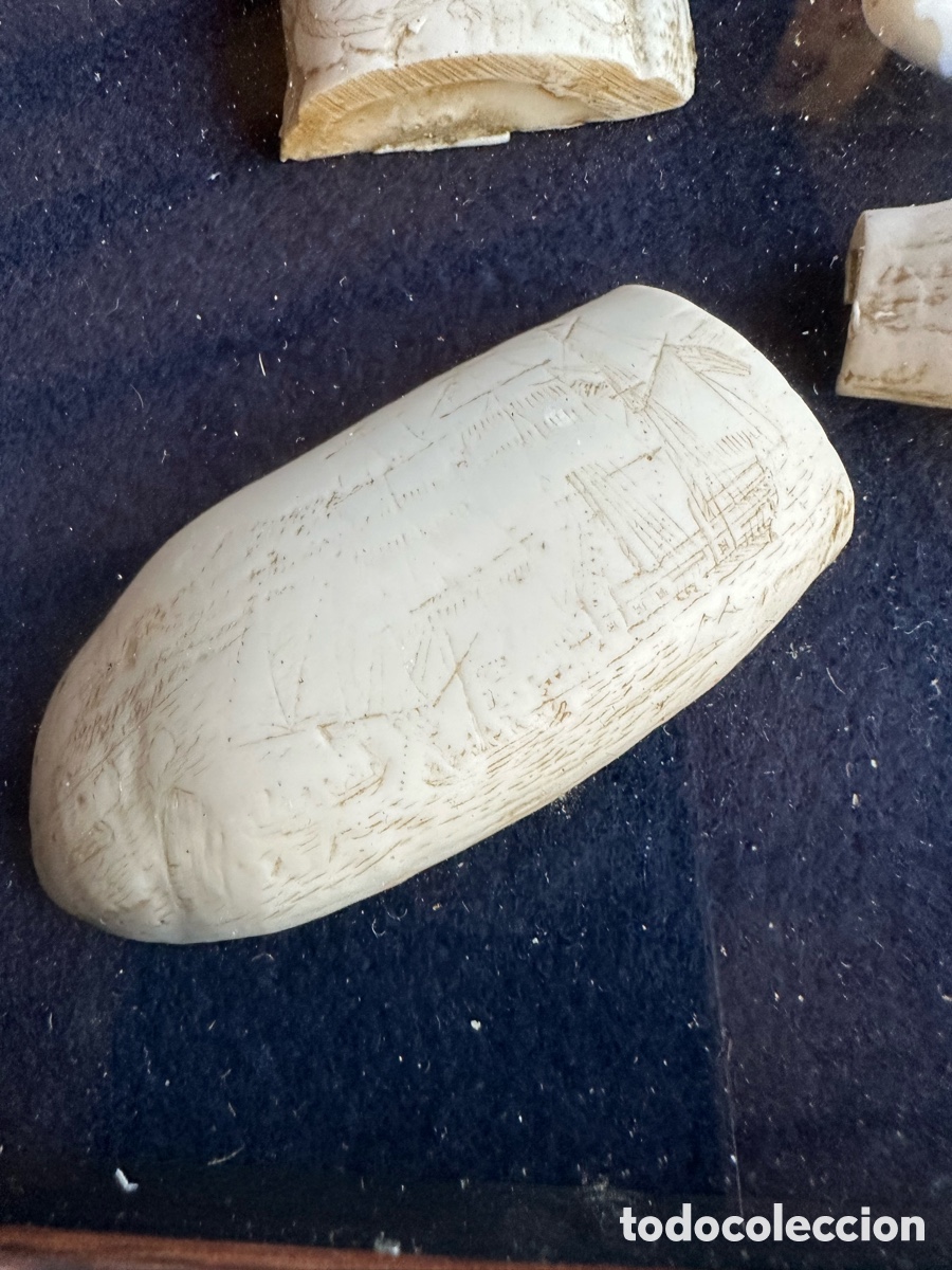 Antig&uuml;edades: Colecci&oacute;n diferentes r&eacute;plicas dientes cachalote. - Foto 8