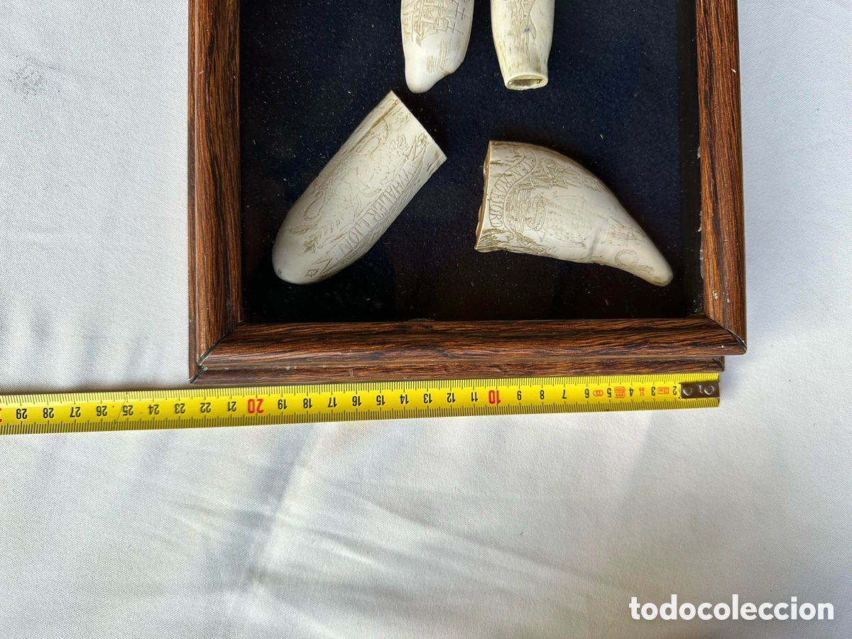 Antig&uuml;edades: Colecci&oacute;n diferentes r&eacute;plicas dientes cachalote. - Foto 15