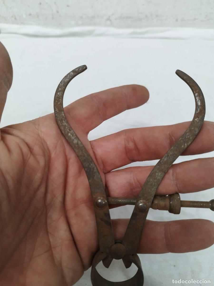 Antig&uuml;edades: Antiguo comp&aacute;s de puntas curvas con tornillo de ajuste microm&eacute;trico). - Foto 3