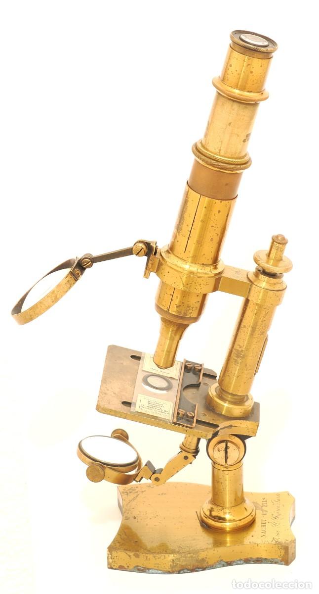 Antig&uuml;edades: Microscopio antiguo Nachet (c.1870) - Foto 8