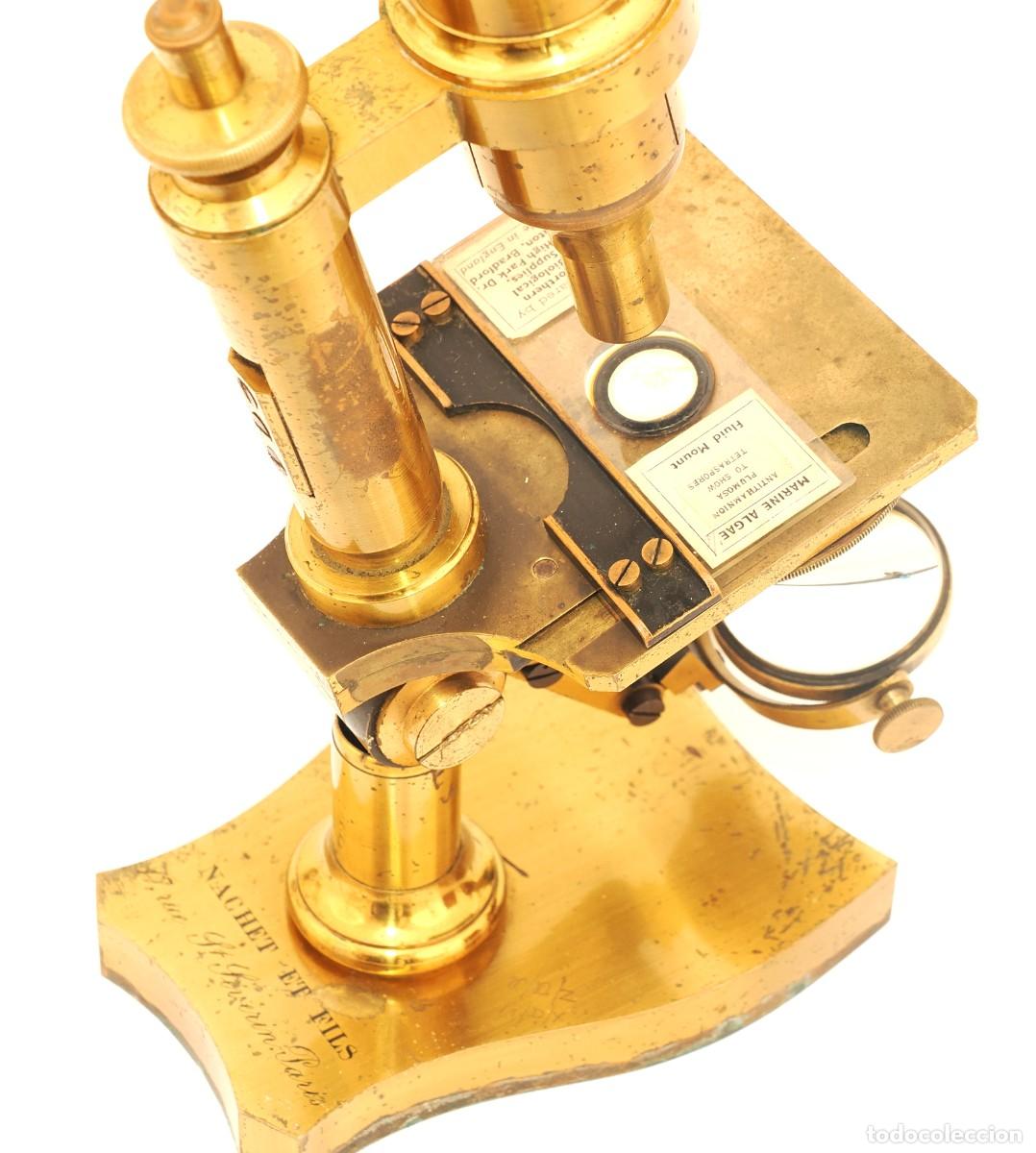 Antig&uuml;edades: Microscopio antiguo Nachet (c.1870) - Foto 11