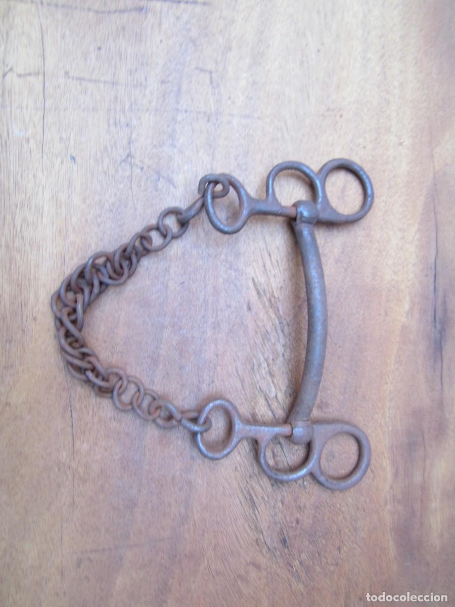 Antig&uuml;edades: Bocado antiguo para caballo en hierro forjado. - Foto 1
