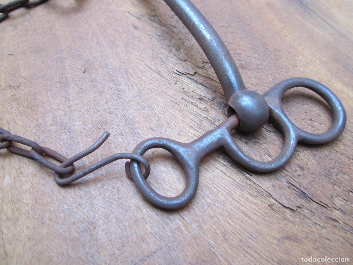 Antig&uuml;edades: Bocado caballo antiguo de forja, siglo XIX. - Foto 4